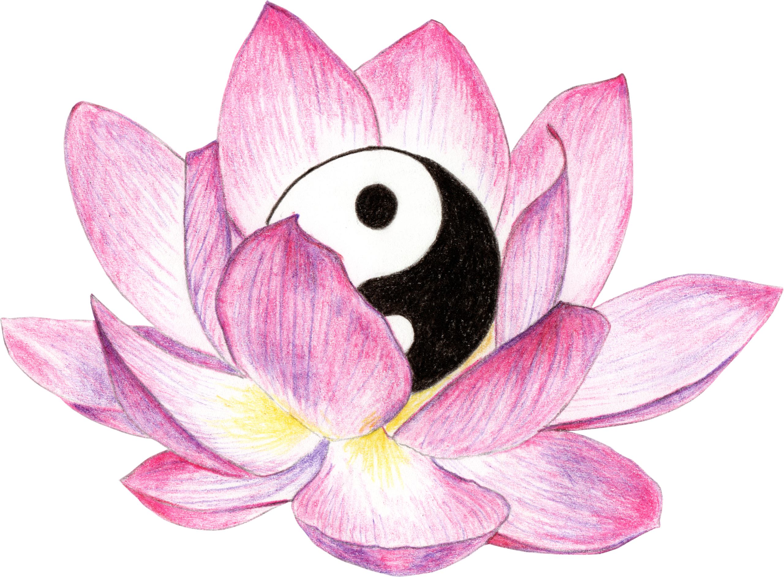 lotus_pruhledne pozadi